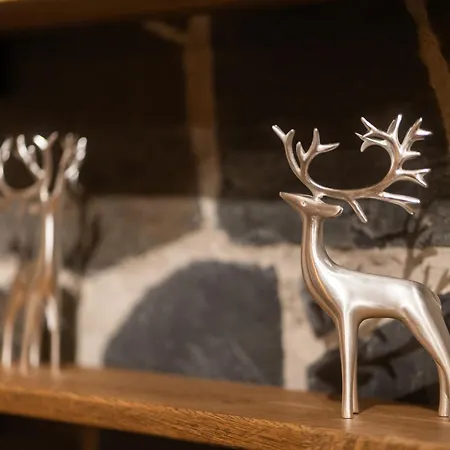 Kelo 酒店 萨利色尔卡