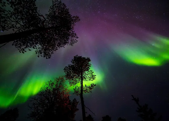 ホテル Kelo サーリセルカ